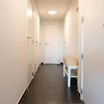 New Modern Near The Sea And Centre Oostende